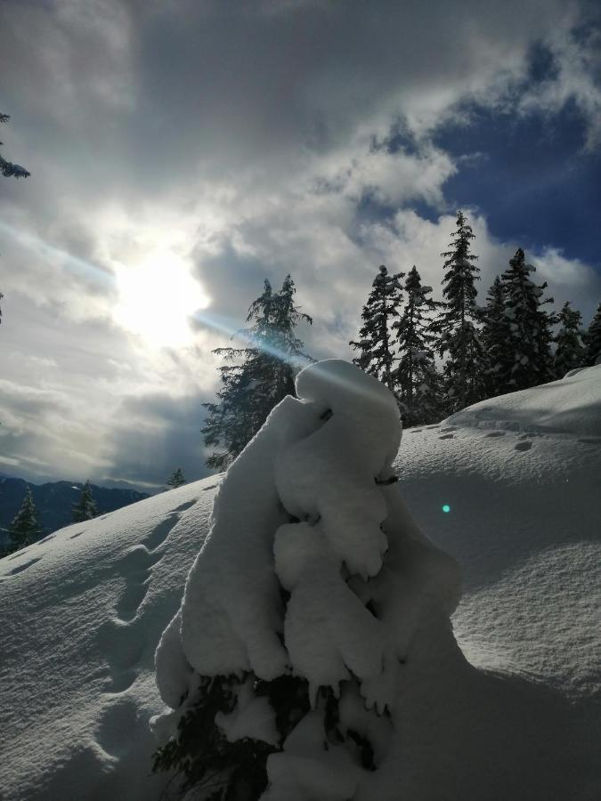 Hotel Garni Alpendiamant Fiss Kültér fotó