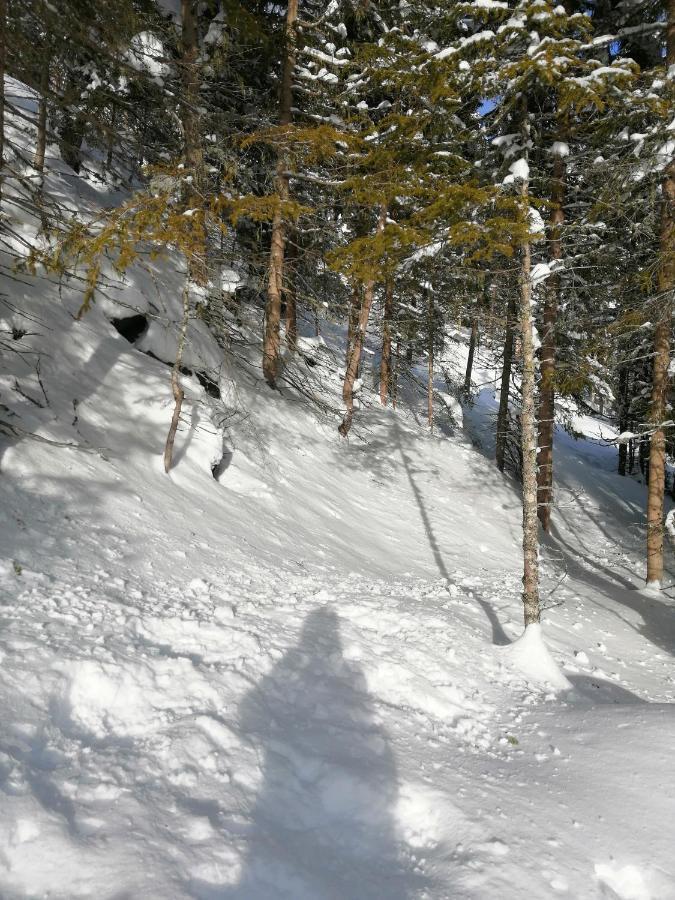 Hotel Garni Alpendiamant Fiss Kültér fotó